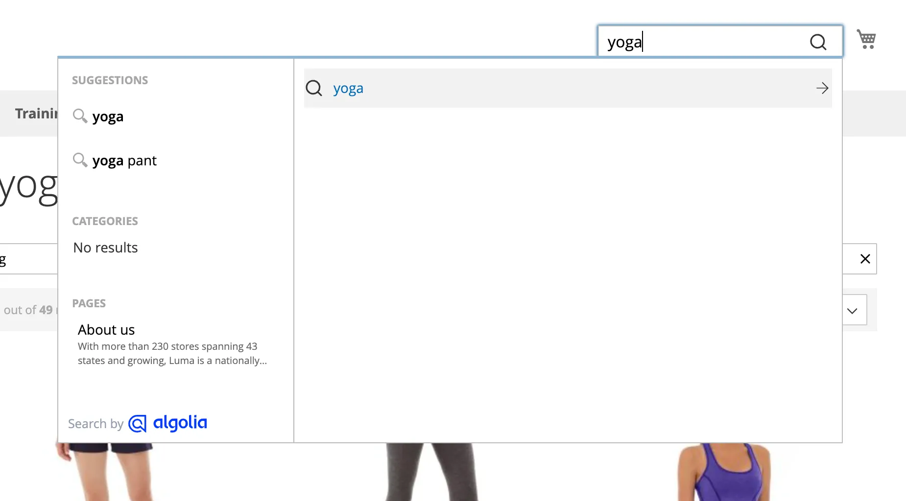 Autocomplete redirect as a selectable item but no matching hits displayed