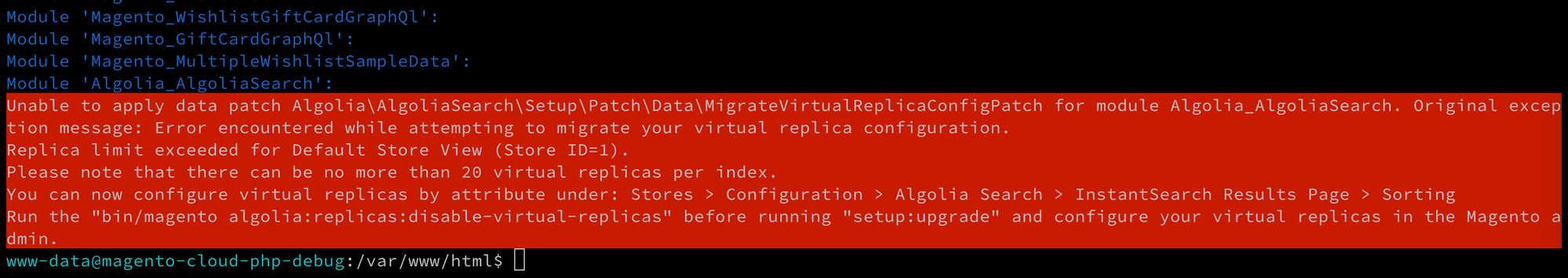 Setup upgrade fails due to virtual replica exceeded error
