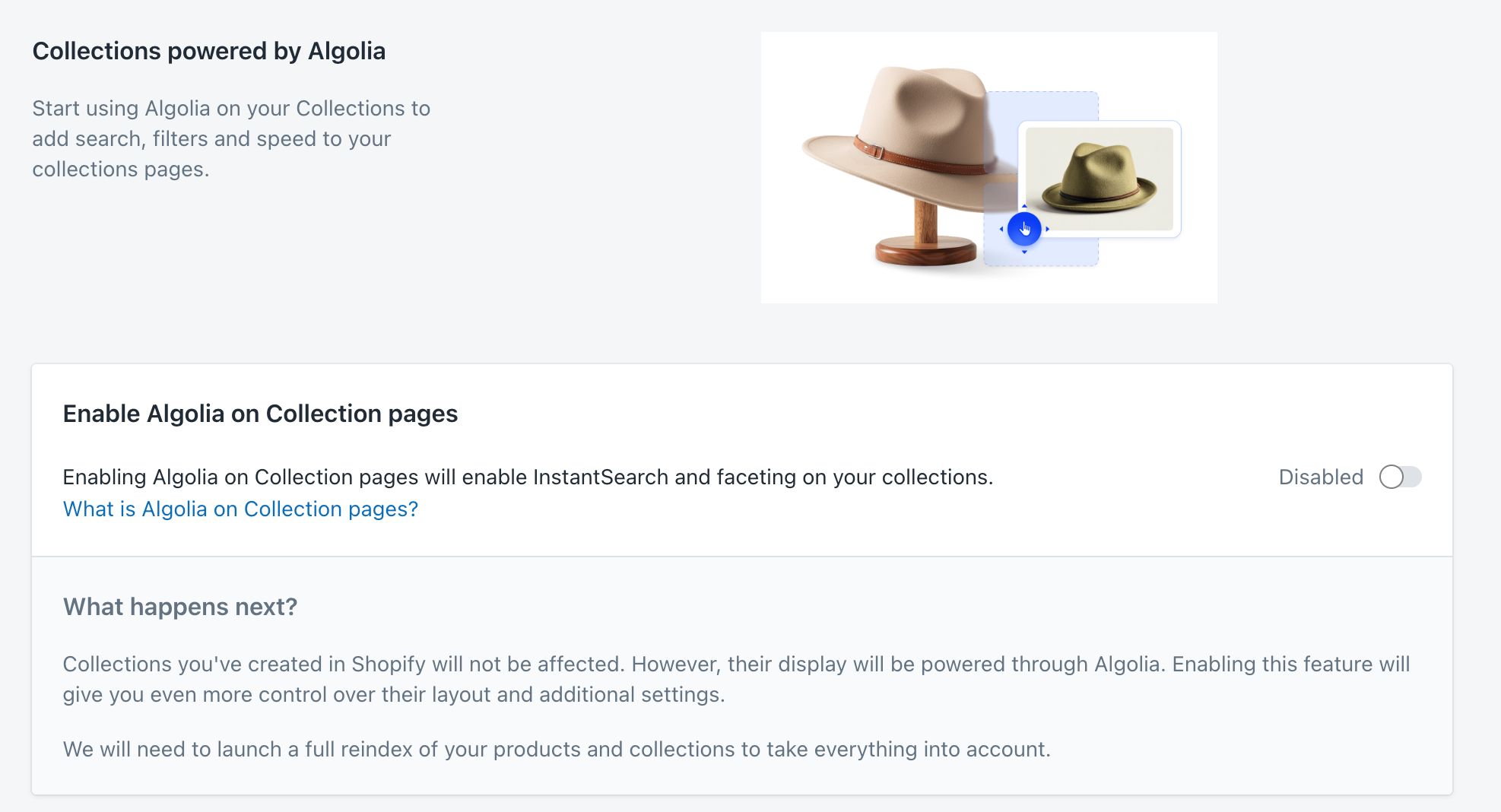 The Collection pages enable screen in the Shopify admin